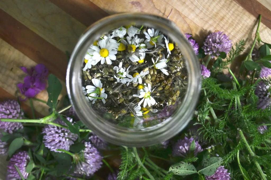 WATERBODY GOES ORGANIC