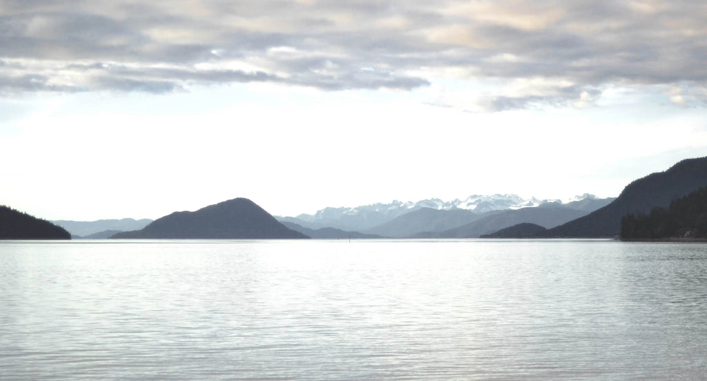 Listening, Learning, Committed to Doing Better