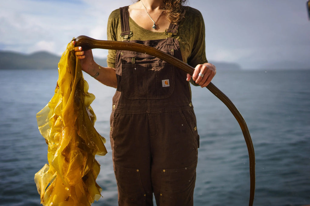 From sea to skin: Why we use Alaskan bull kelp in our natural skincare
