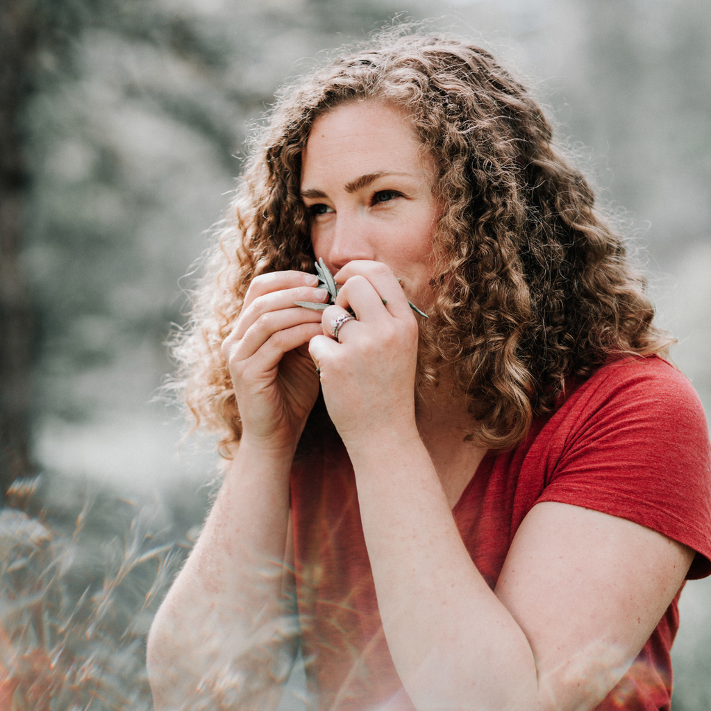 3 Edible Wild Plants to Forage in Alaska This Spring