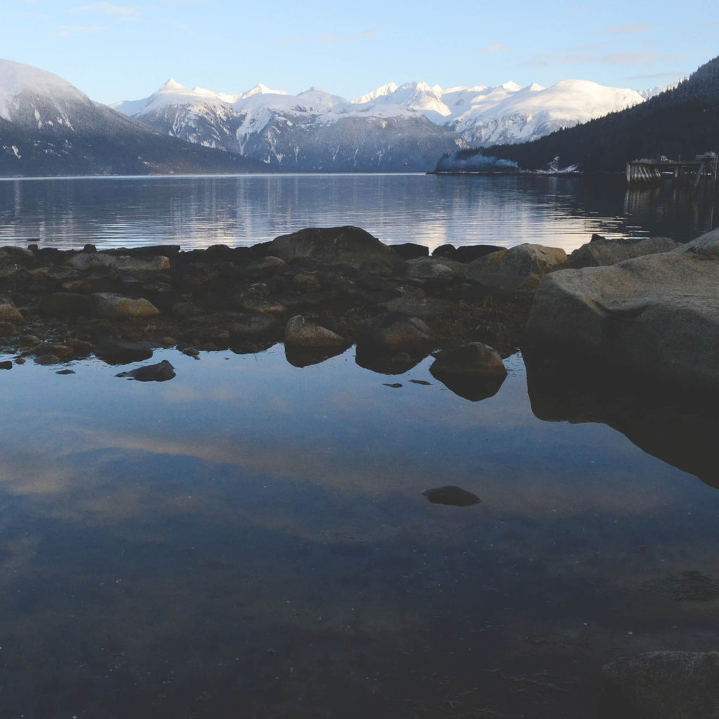 Our commitment to environmental stewardship