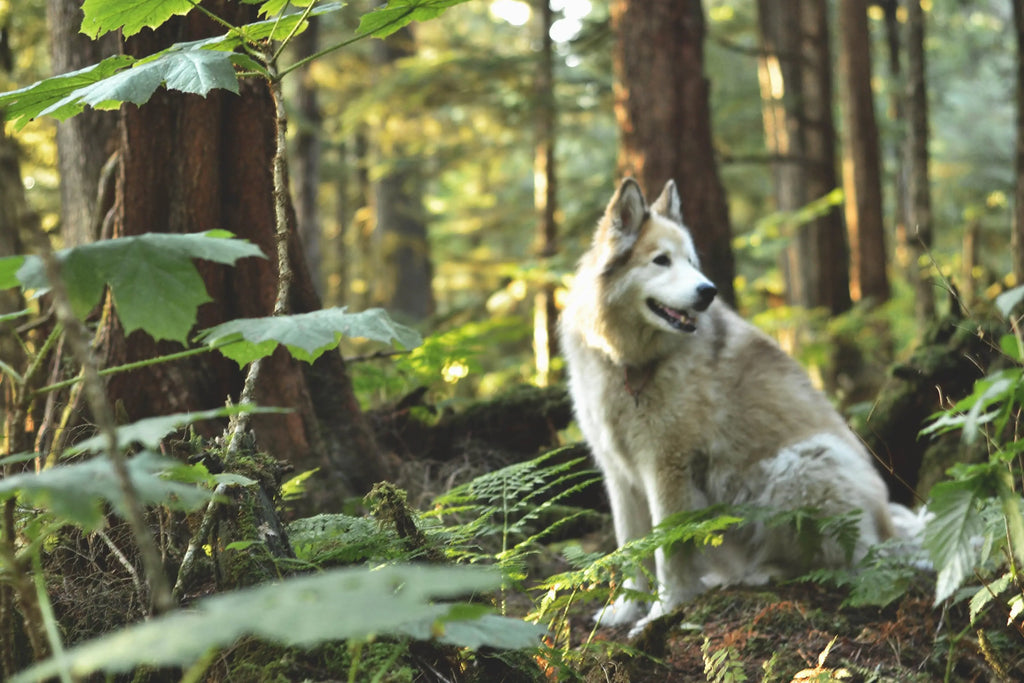 How Waterbody celebrates Earth Day every day (and how you can too!)