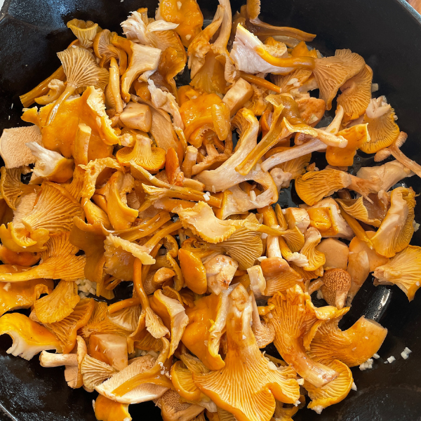 Recipe: Wild Mushroom Toast 3 Ways