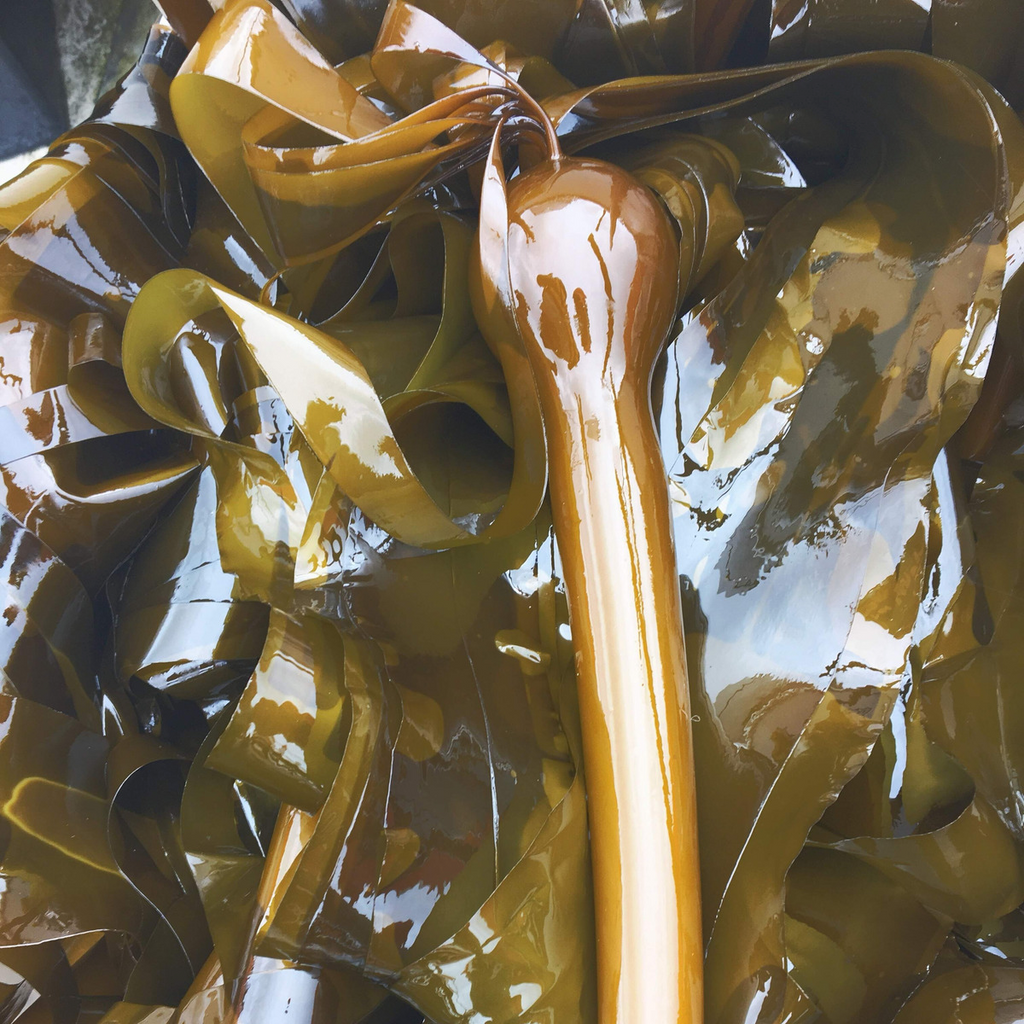 Can Skincare Help Fight Climate Change?