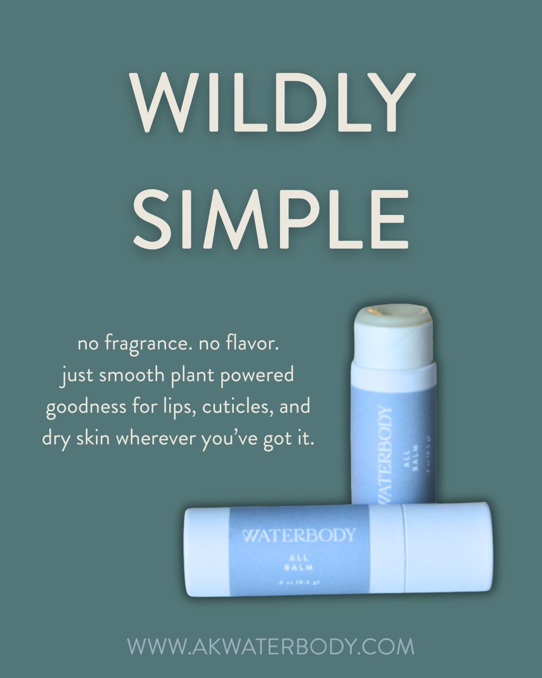 All Balm - For Lips, Hands, & More - Limited Holiday Release!