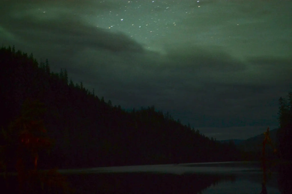 Cultivating Light - Self Care for the Winter Solstice