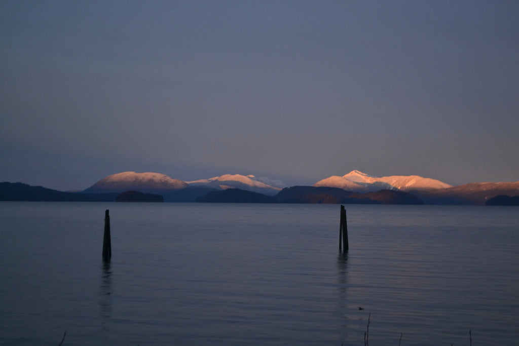 A look back at 2019... & BIG things ahead in 2020!