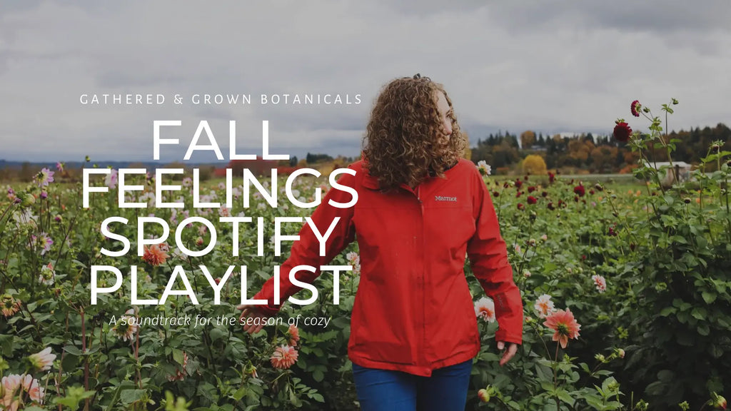 Fall Feelings Playlist