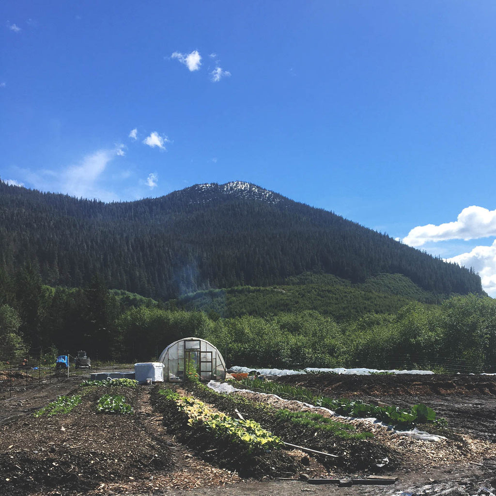 Meet the Micro-farm That's Growing Fresh Alaskan Botanicals for our Skincare