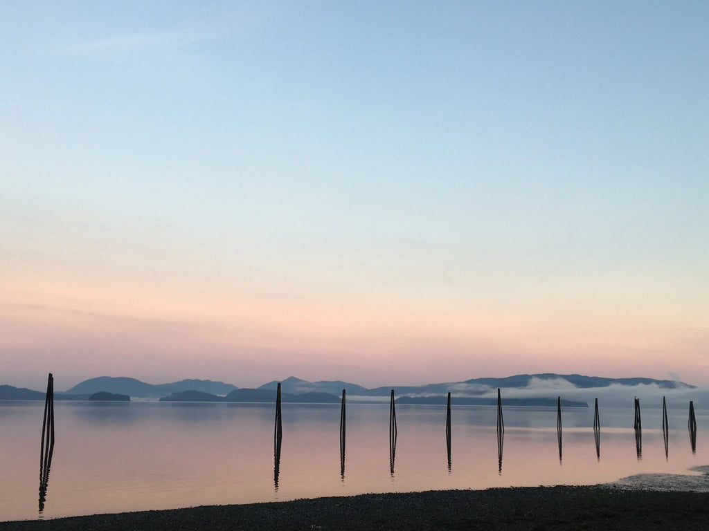 2017: Our Year In Review!