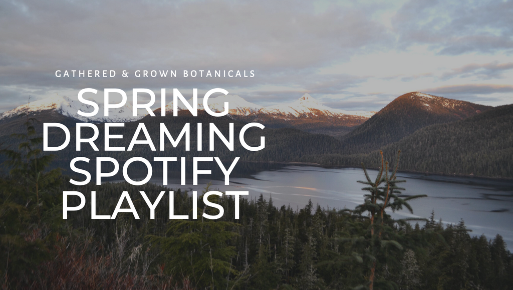 A Playlist for Spring Dreaming
